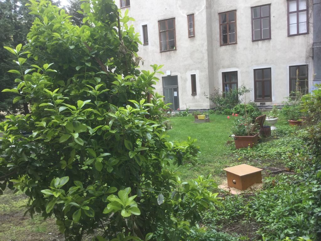 Ajo Central Виена Екстериор снимка